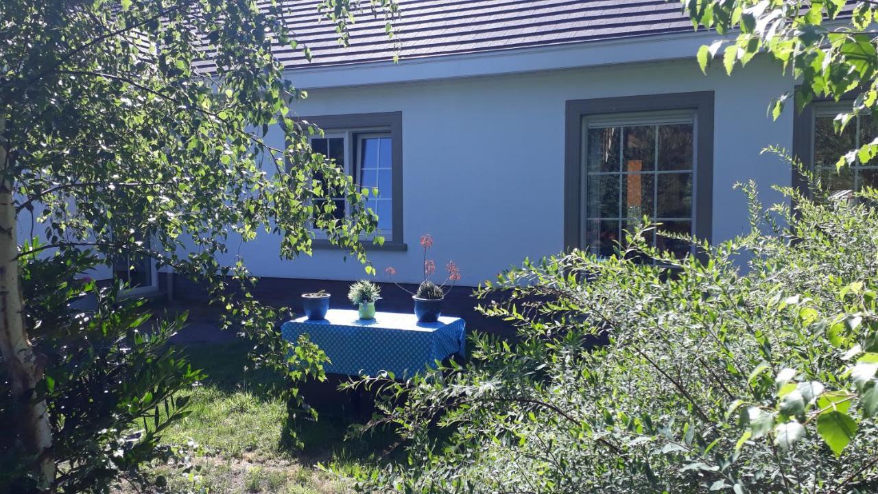 B&B De Tulp Retie Ngoại thất bức ảnh