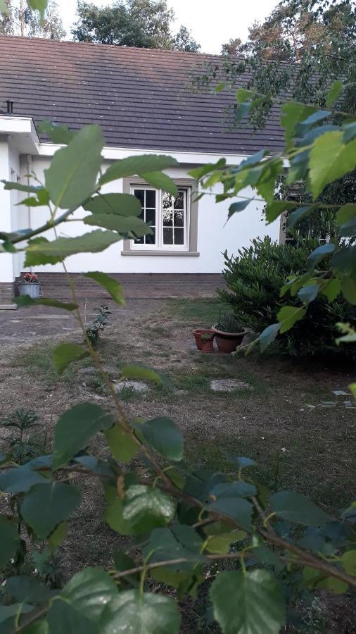 B&B De Tulp Retie Ngoại thất bức ảnh